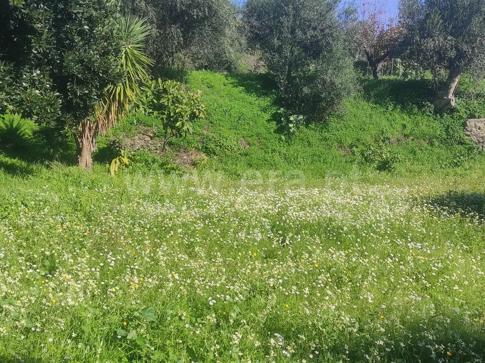 Helårsgrund i Fundao, Castelo Branco - foto 1