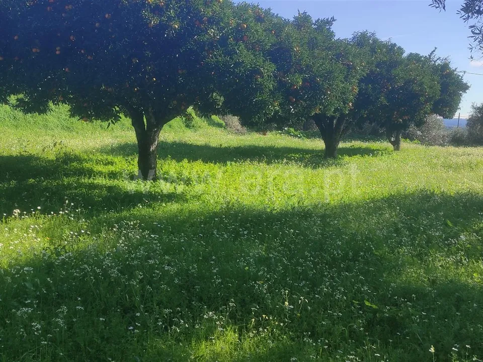 Helårsgrund i Fundao, Castelo Branco - foto 2