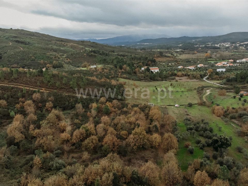 Helårsgrund i Fundao, Castelo Branco - foto 4