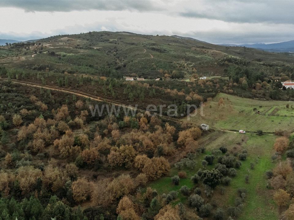 Helårsgrund i Fundao, Castelo Branco - foto 5