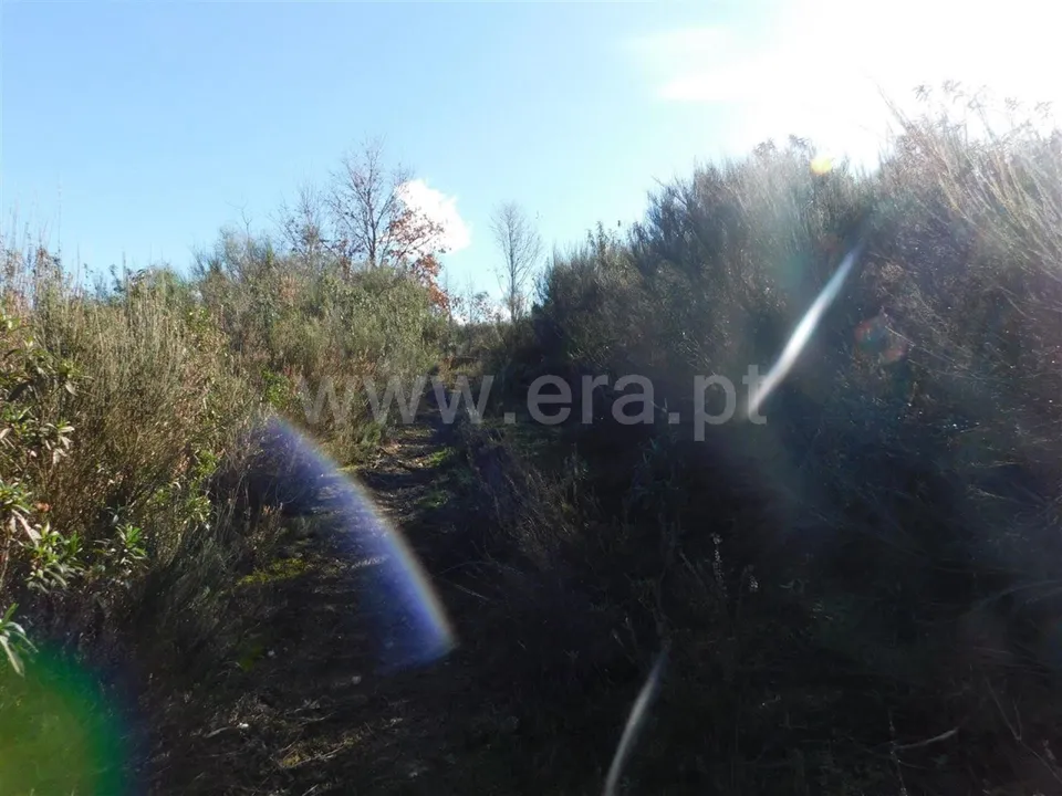 Helårsgrund i Fundao, Castelo Branco - foto 1