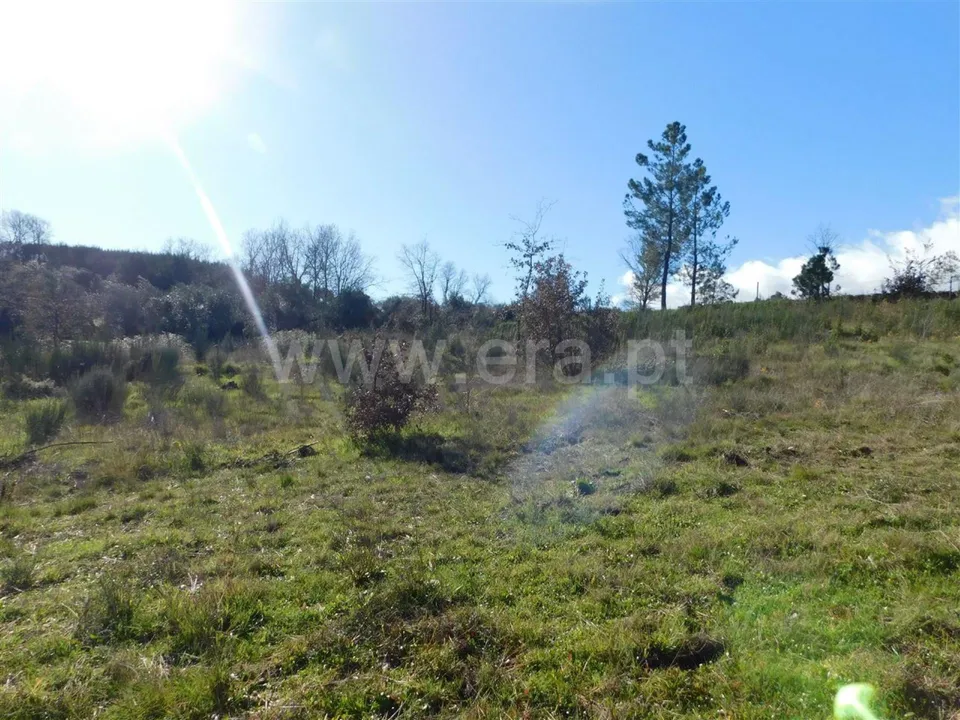 Helårsgrund i Fundao, Castelo Branco - foto 2