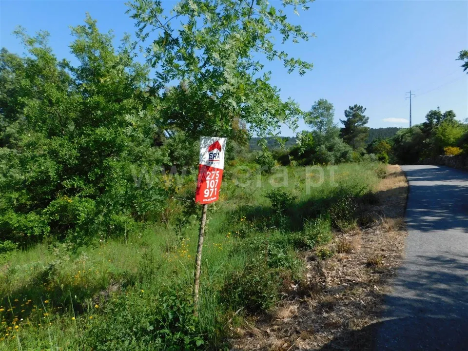Tomt i Fundao, Castelo Branco - bilde 2