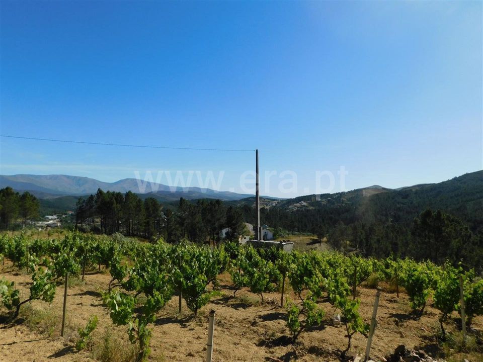 Tomt i Fundao, Castelo Branco - bilde 3