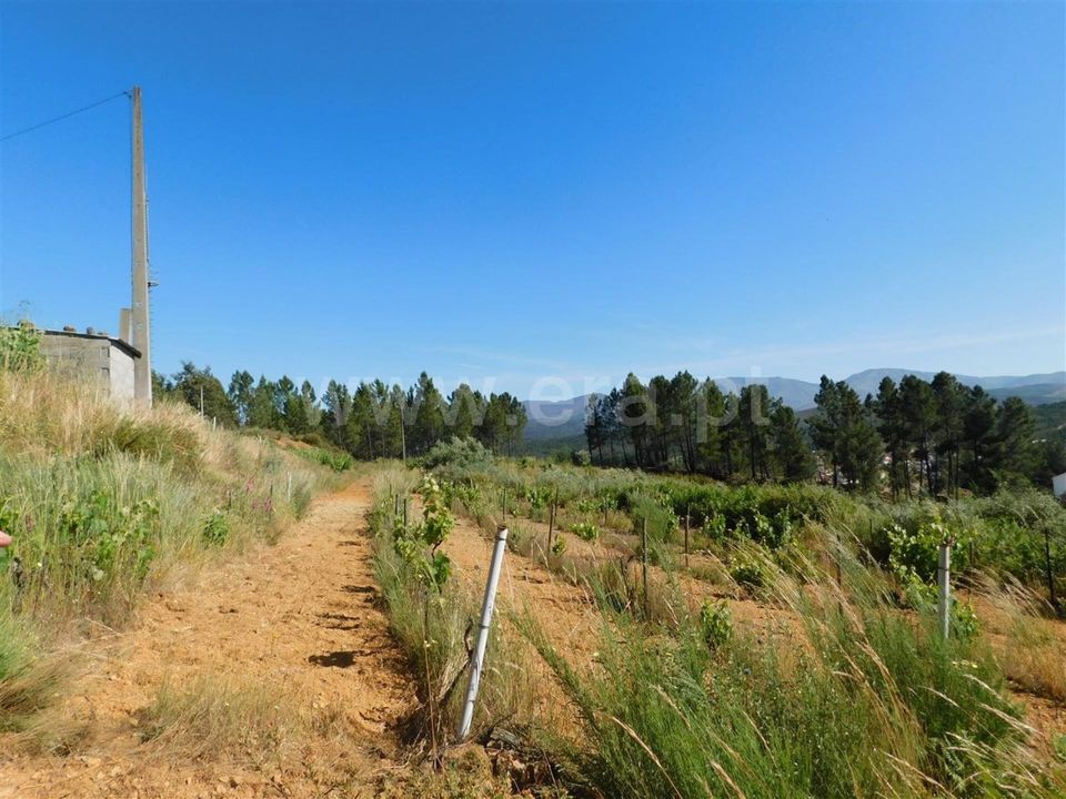 Tomt i Fundao, Castelo Branco - bilde 4