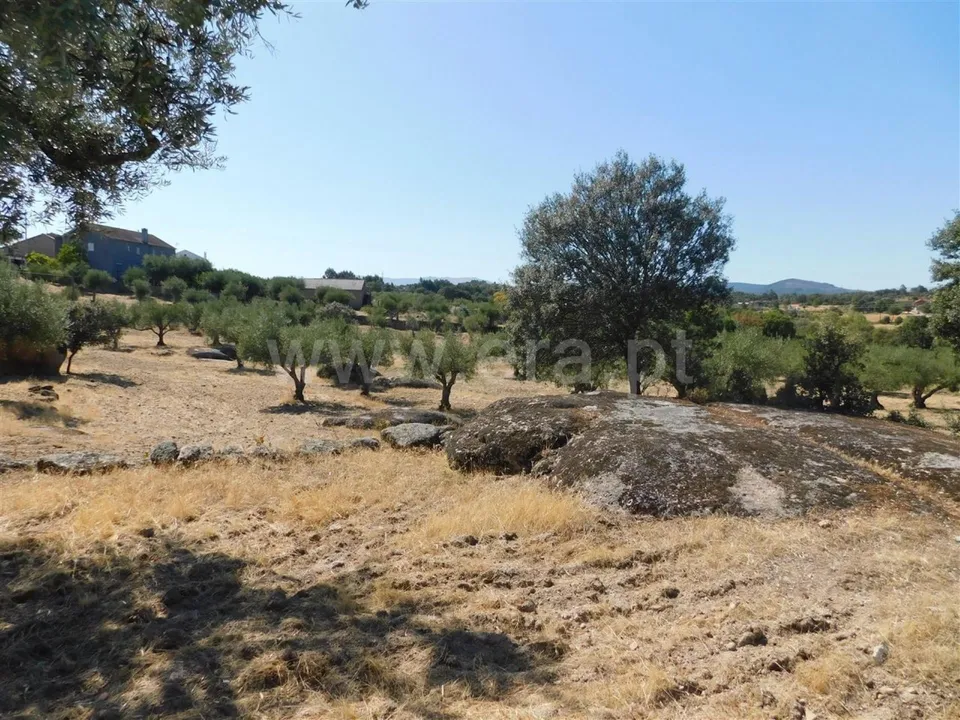 Tomt i Fundao, Castelo Branco - bilde 1
