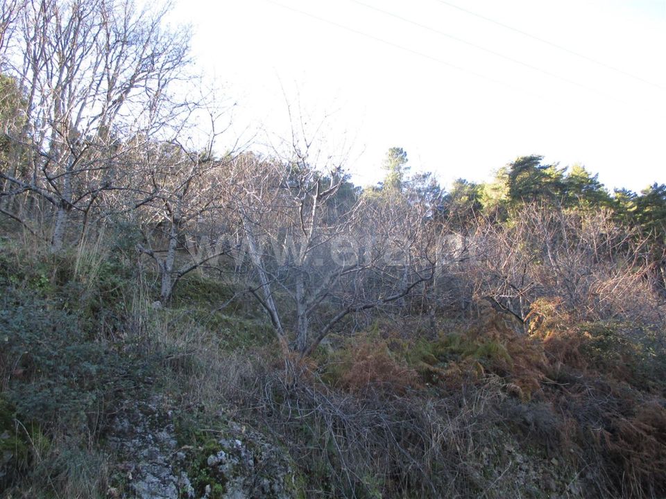 Herregård i Fundao, Castelo Branco - bilde 2