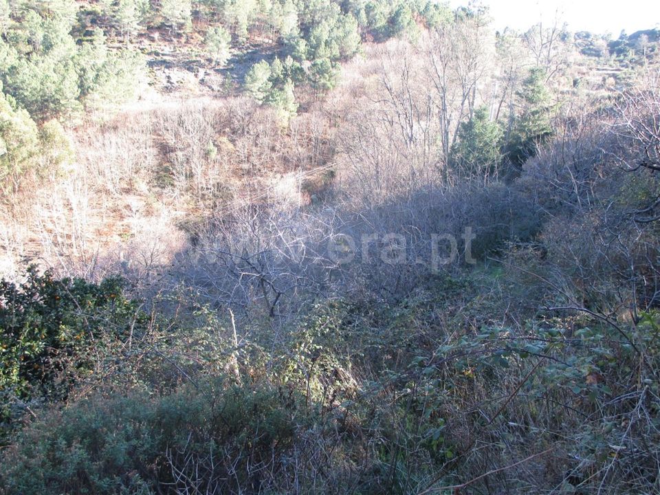 Herregård i Fundao, Castelo Branco - bilde 3