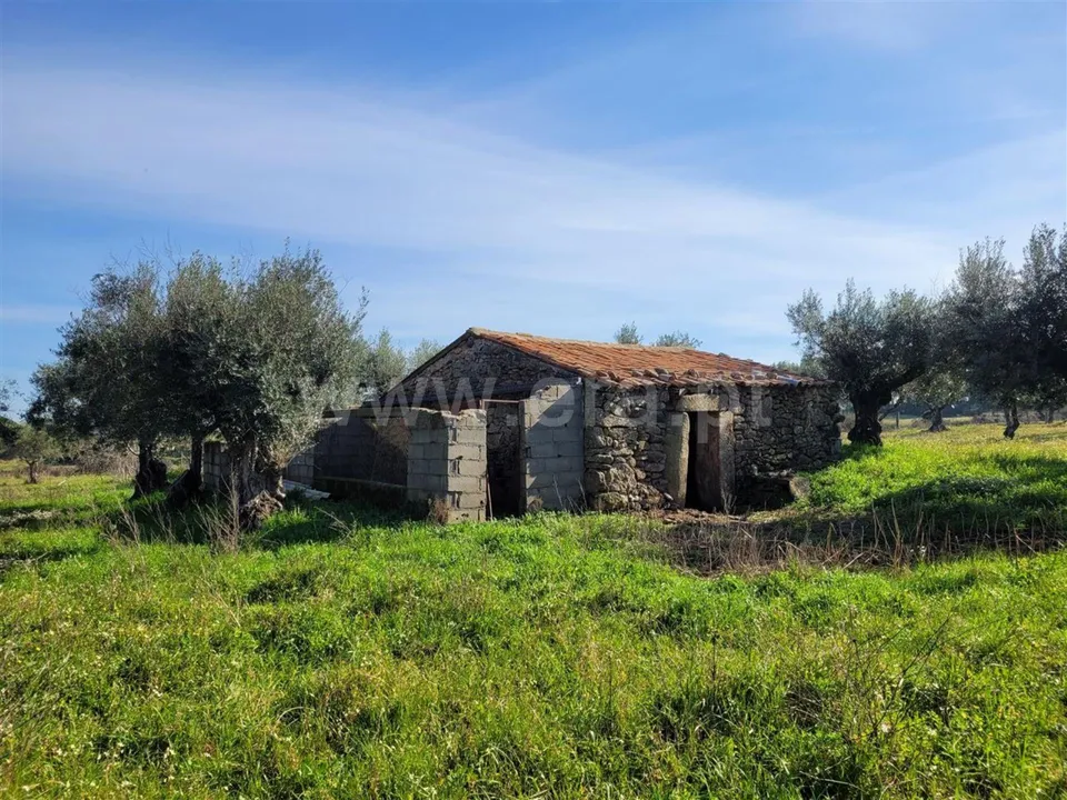 Herregård i Fundao, Castelo Branco - bilde 1