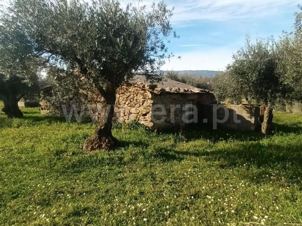 Herregård i Fundao, Castelo Branco - bilde 3