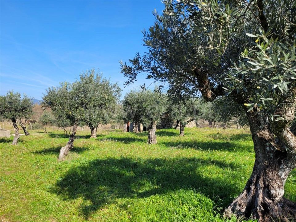 Herregård i Fundao, Castelo Branco - bilde 5