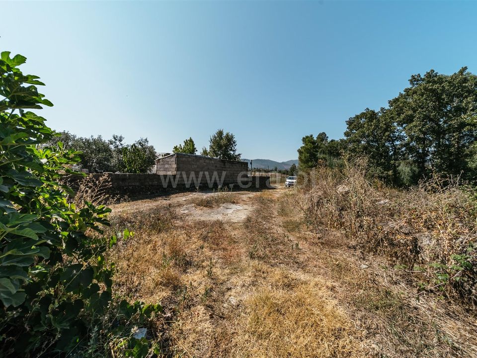 Gård i Fundao, Castelo Branco - bilde 2