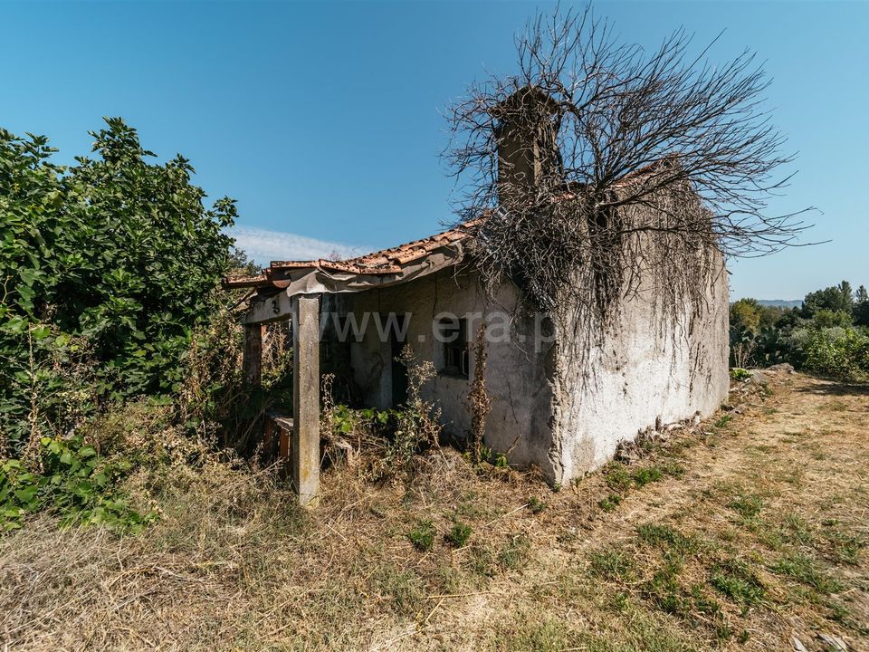 Gård i Fundao, Castelo Branco - bilde 3