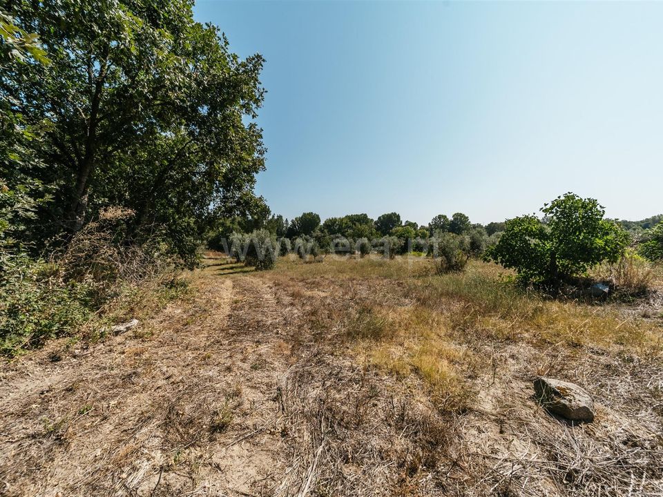 Gård i Fundao, Castelo Branco - bilde 4