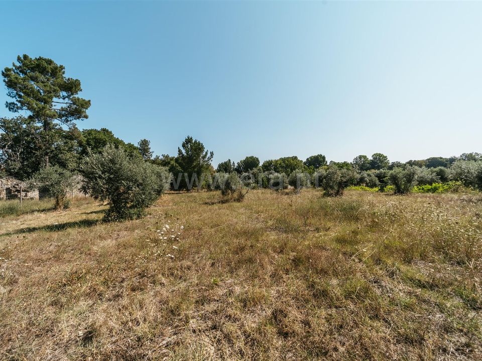Gård i Fundao, Castelo Branco - bilde 5