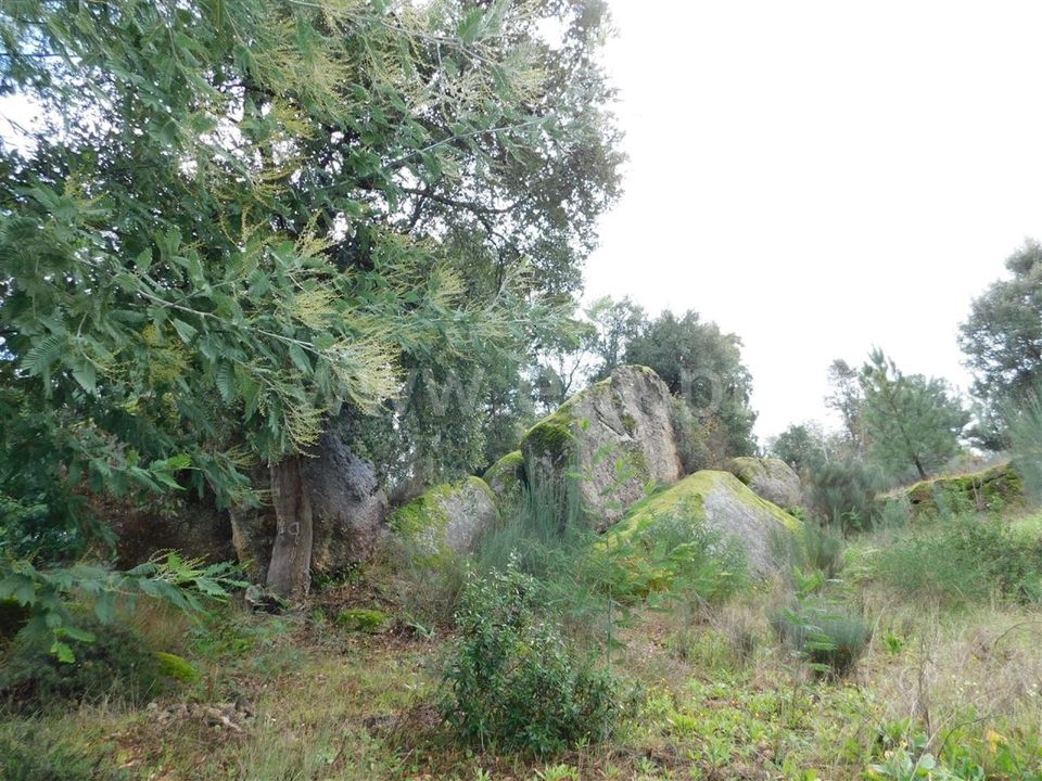 Helårsgrund i Fundao, Castelo Branco - foto 2