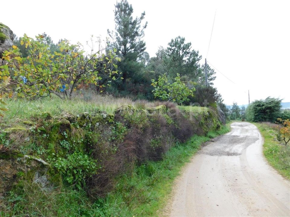 Helårsgrund i Fundao, Castelo Branco - foto 3