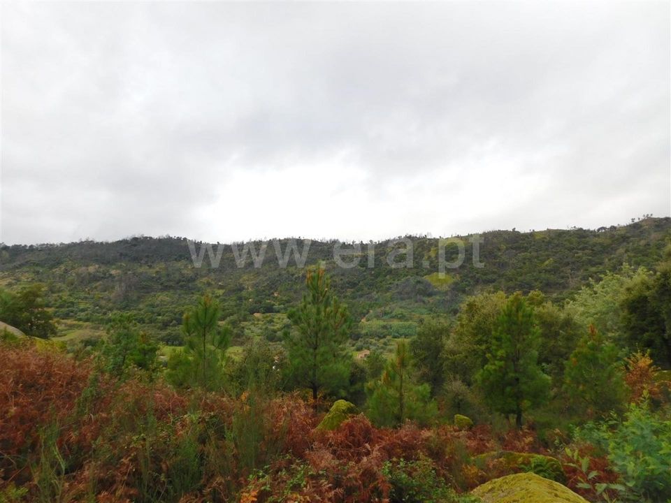 Helårsgrund i Fundao, Castelo Branco - foto 5