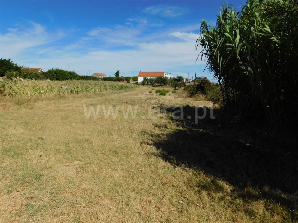 Farm i Fundao, Castelo Branco - foto 3
