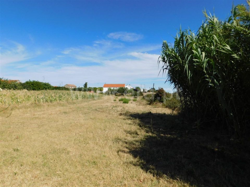 Farm i Fundao, Castelo Branco - foto 4