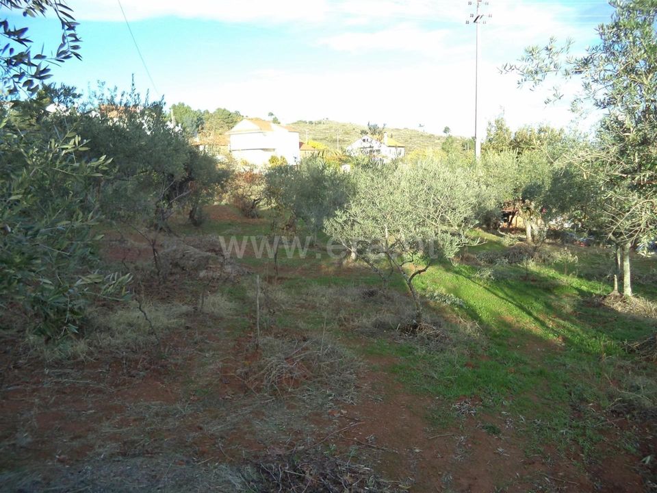 Helårsgrund i Fundao, Castelo Branco - foto 1