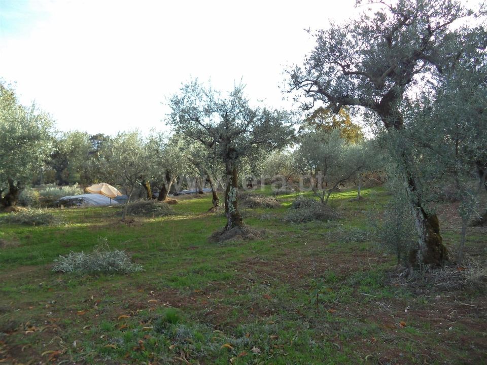Helårsgrund i Fundao, Castelo Branco - foto 2