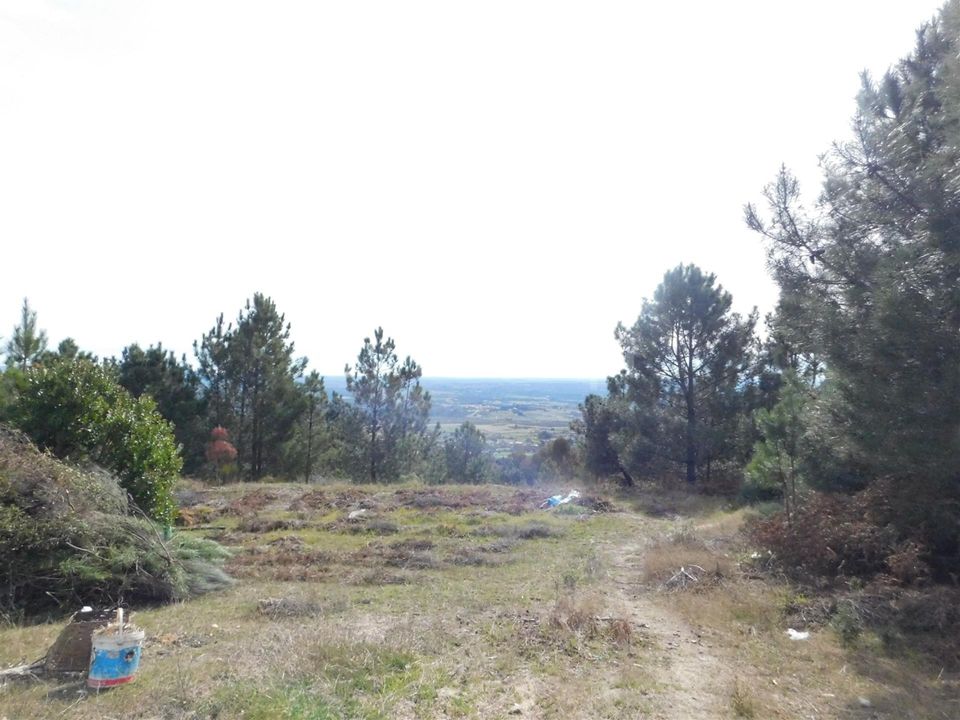 Gård i Fundao, Castelo Branco - bilde 3