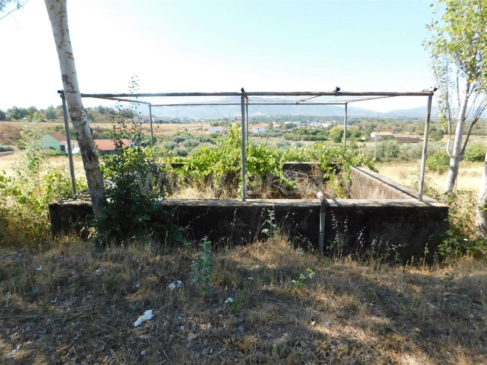 Helårsgrund i Fundao, Castelo Branco - foto 3