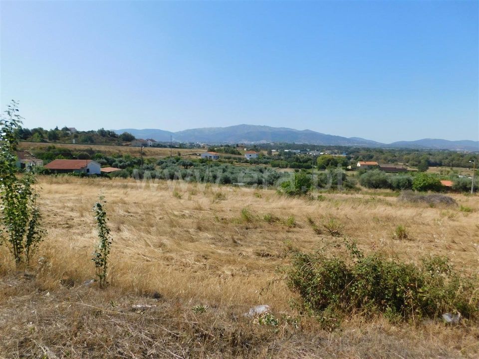 Helårsgrund i Fundao, Castelo Branco - foto 4