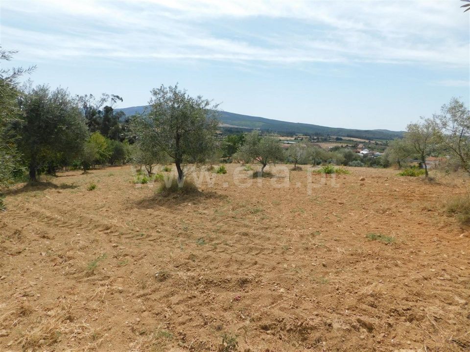 Helårsgrund i Fundao, Castelo Branco - foto 1