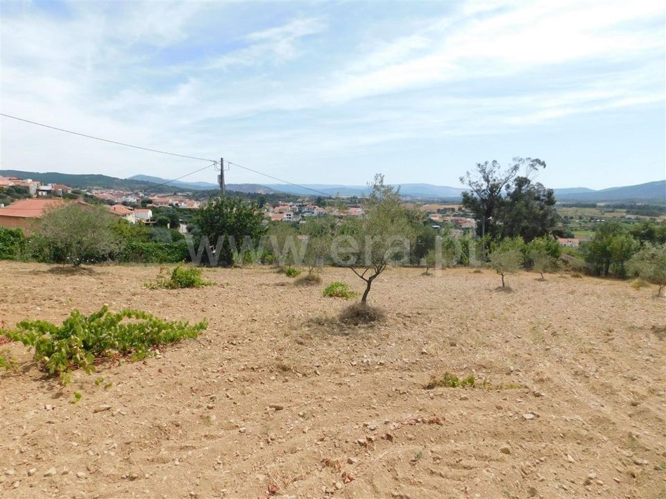 Helårsgrund i Fundao, Castelo Branco - foto 3