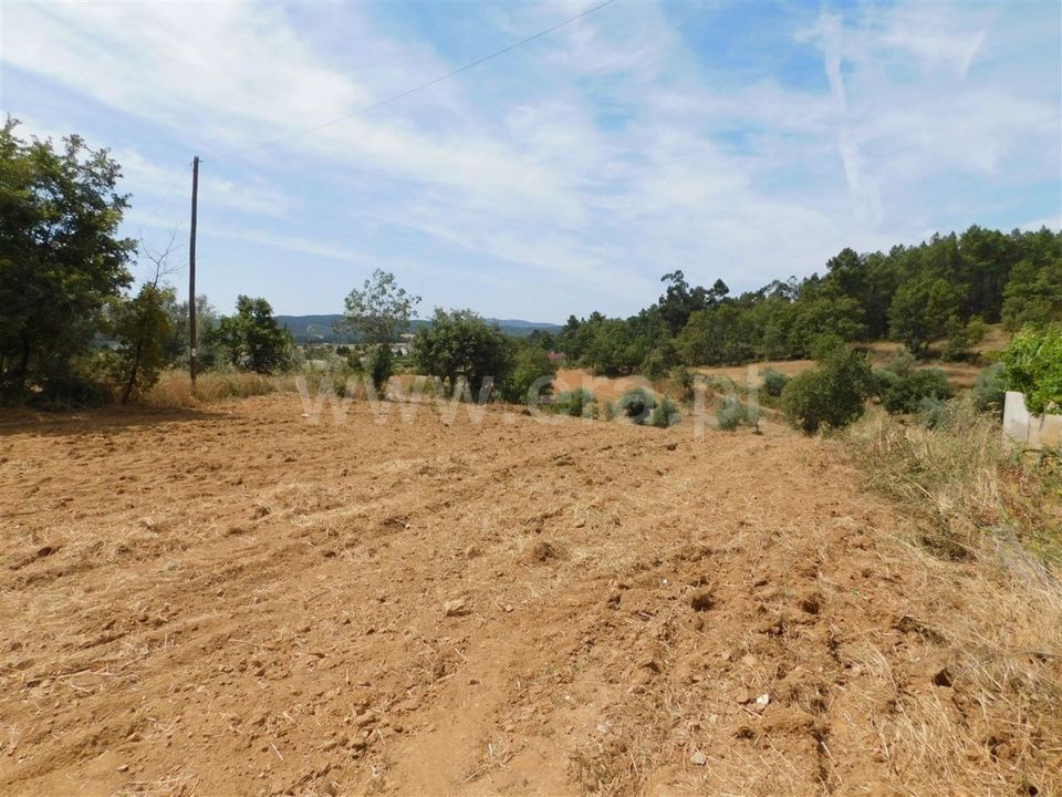 Tomt i Fundao, Castelo Branco - bilde 1