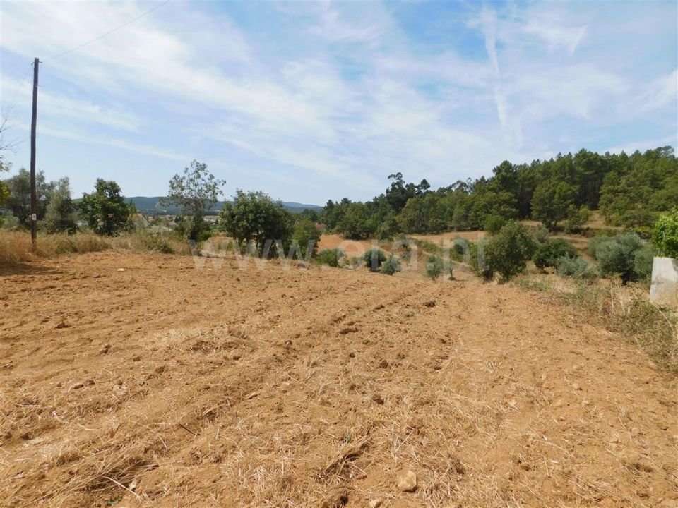 Tomt i Fundao, Castelo Branco - bilde 2