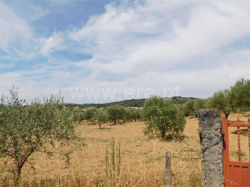 Helårsgrund i Fundao, Castelo Branco - foto 1