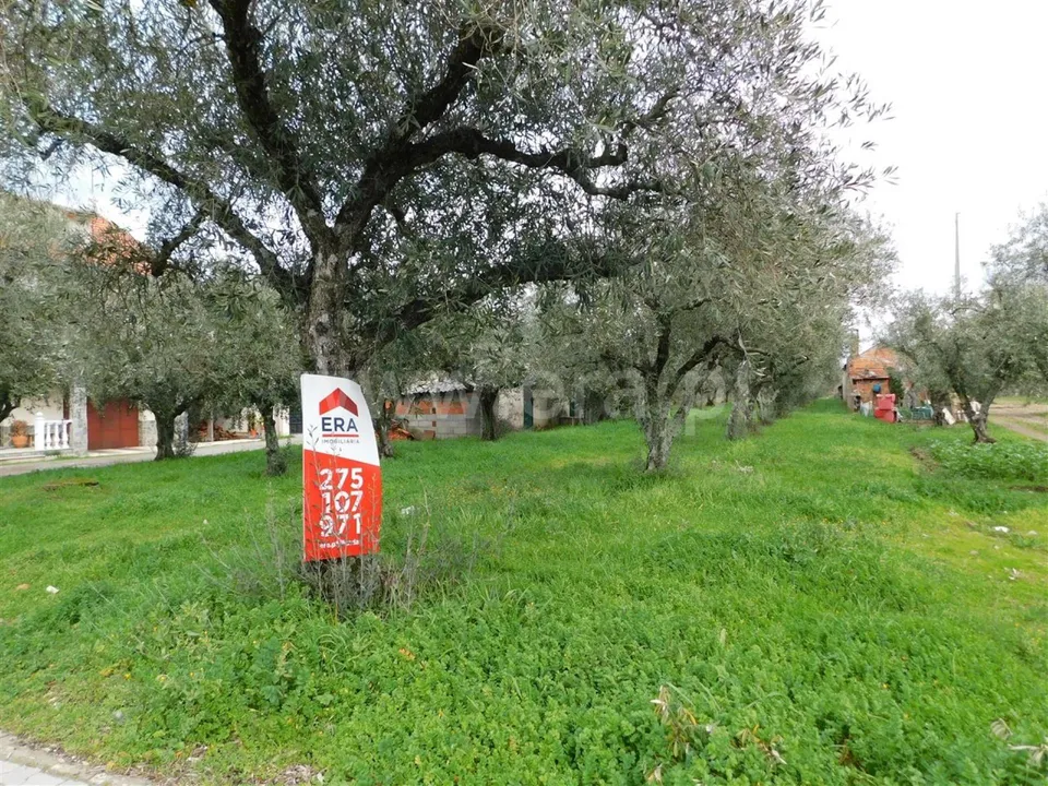 Tomt i Fundao, Castelo Branco - bilde 2