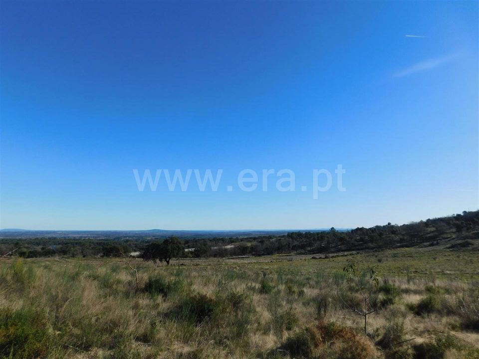 Helårsgrund i Fundao, Castelo Branco - foto 3