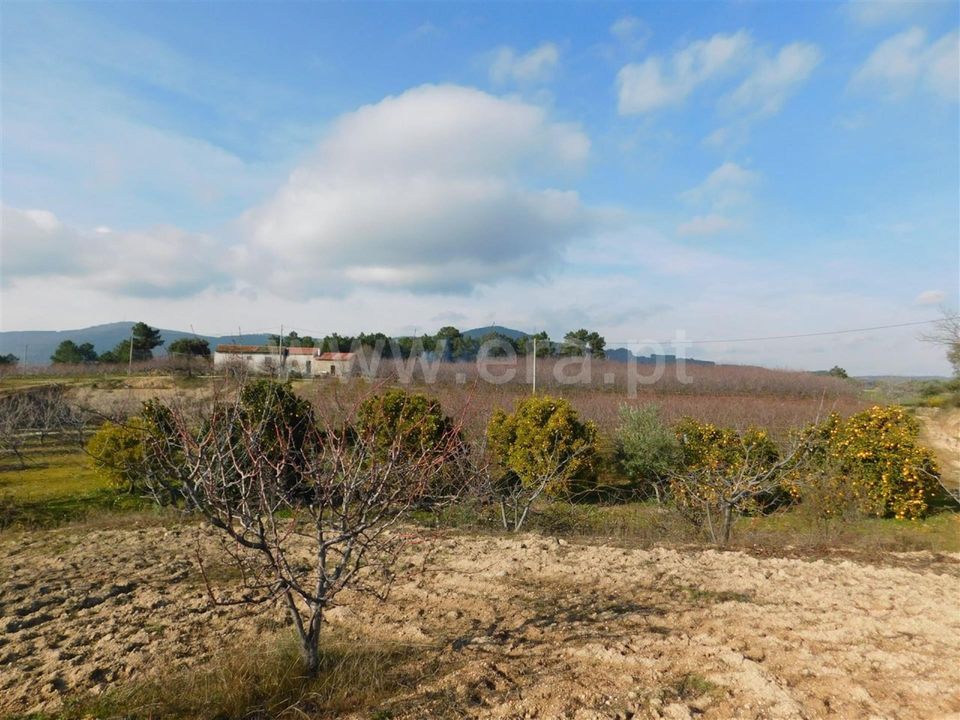Farm i Fundao, Castelo Branco - foto 1