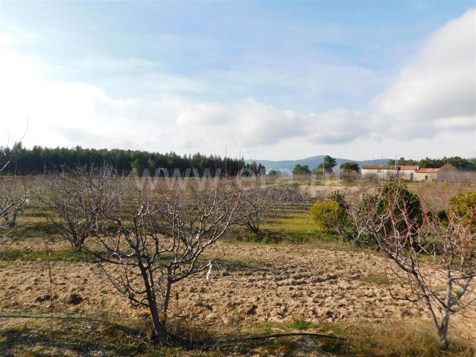 Farm i Fundao, Castelo Branco - foto 3