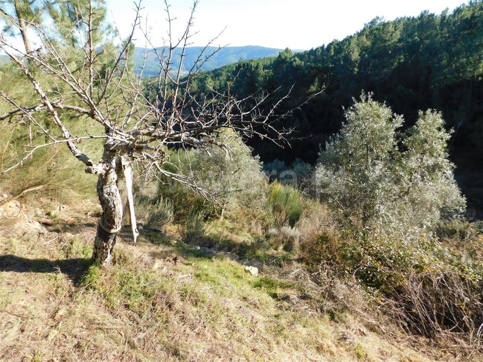 Helårsgrund i Covilha, Castelo Branco - foto 1