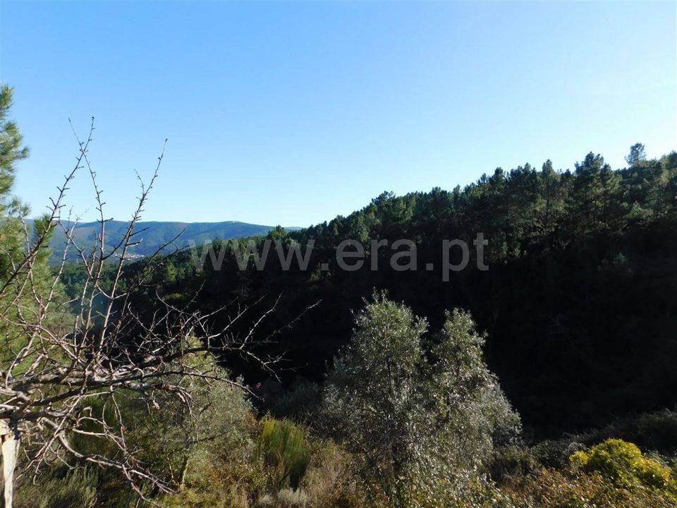 Helårsgrund i Covilha, Castelo Branco - foto 2
