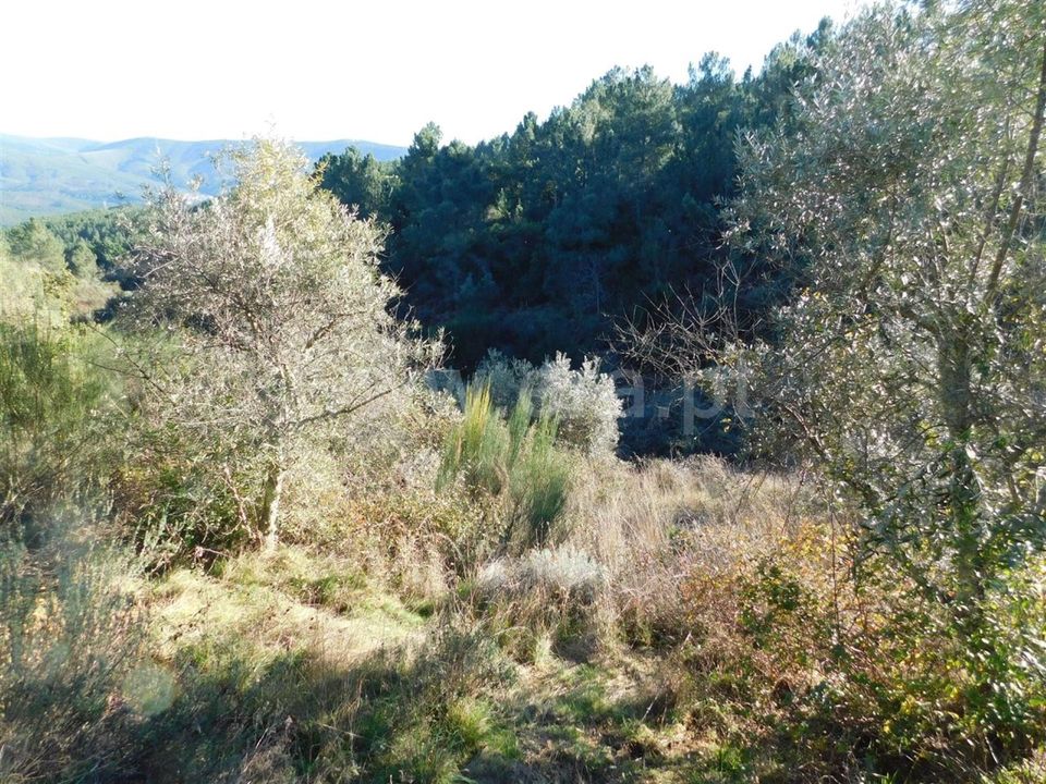 Helårsgrund i Covilha, Castelo Branco - foto 4