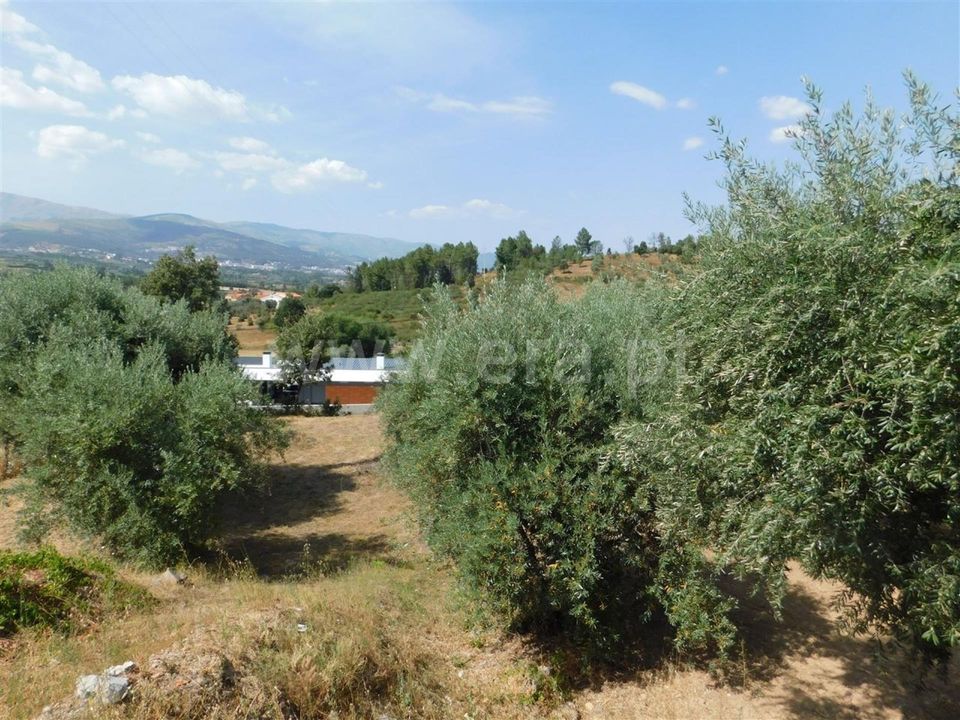 Helårsgrund i Fundao, Castelo Branco - foto 2