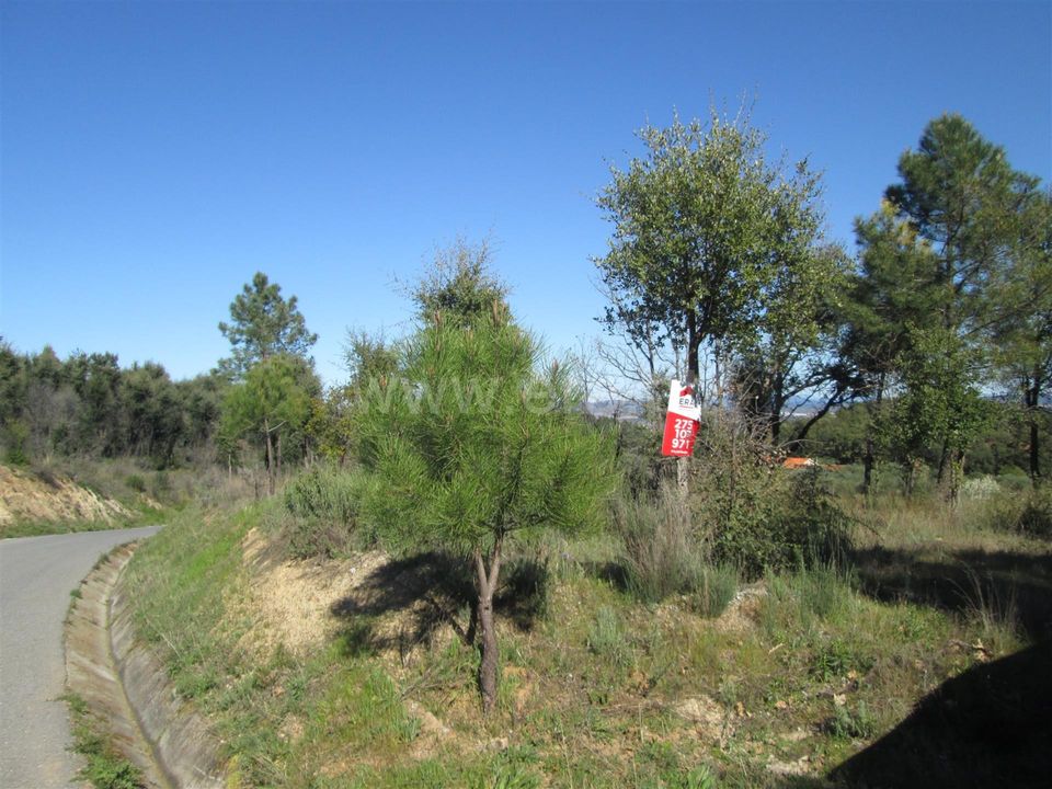 Tomt i Fundao, Castelo Branco - bilde 1