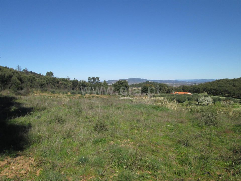 Tomt i Fundao, Castelo Branco - bilde 2