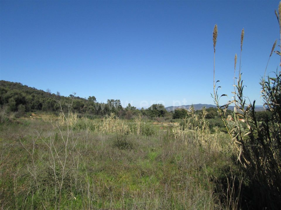 Tomt i Fundao, Castelo Branco - bilde 4