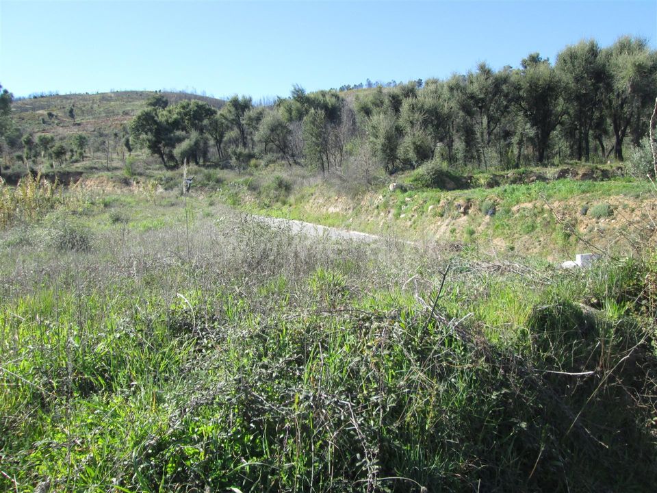 Tomt i Fundao, Castelo Branco - bilde 5