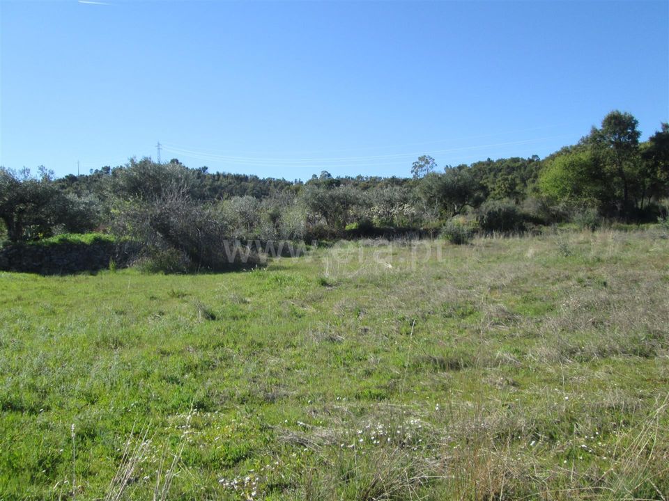 Tomt i Fundao, Castelo Branco - bilde 1