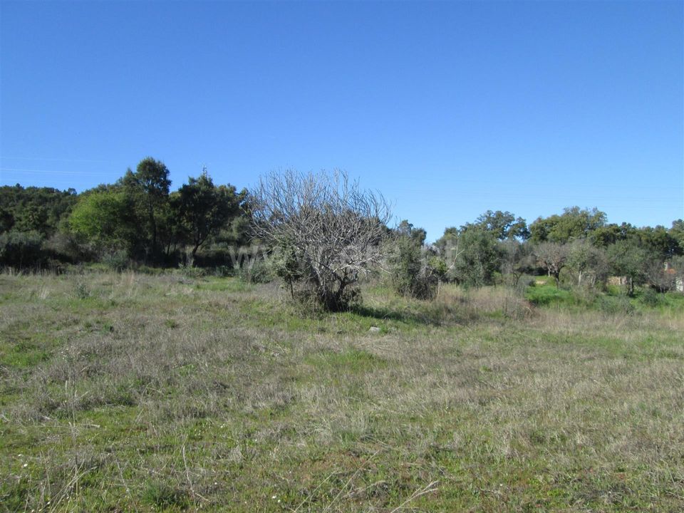 Tomt i Fundao, Castelo Branco - bilde 2