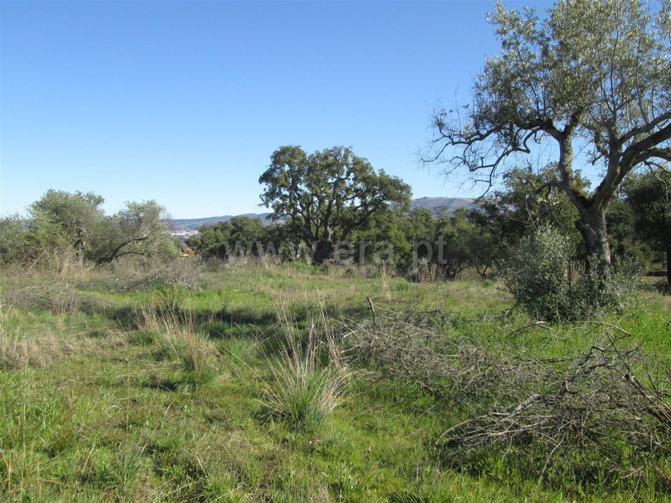 Tomt i Fundao, Castelo Branco - bilde 3