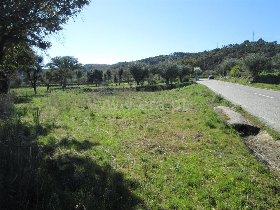 Tomt i Fundao, Castelo Branco - bilde 5